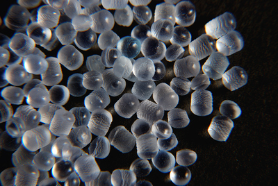 高透明TPE弹性体